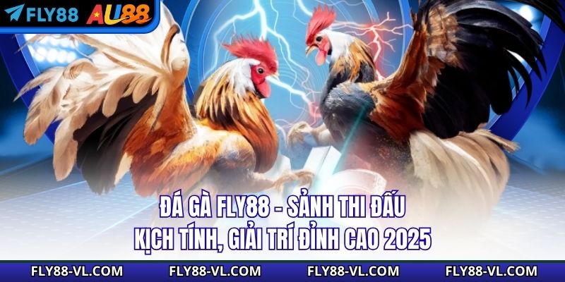 Đá Gà Fly88 – Sảnh Thi Đấu Kịch Tính, Giải Trí Đỉnh Cao 2025